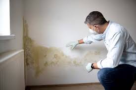 Asbestos and Lead Testing During Mold Inspection in Guthrie Center, IA